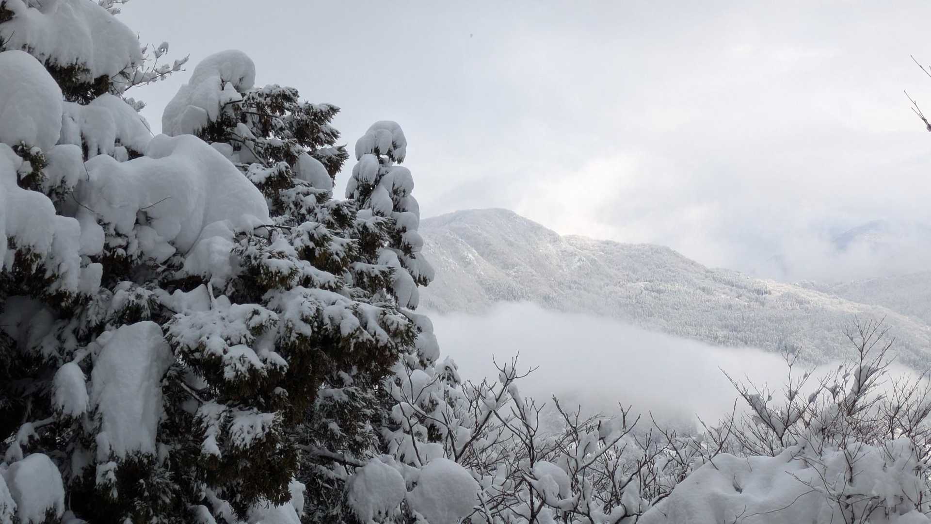 小佐波御前山♬