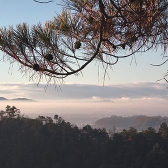 南の方は雲海かな
