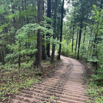 整備された道を下ります。