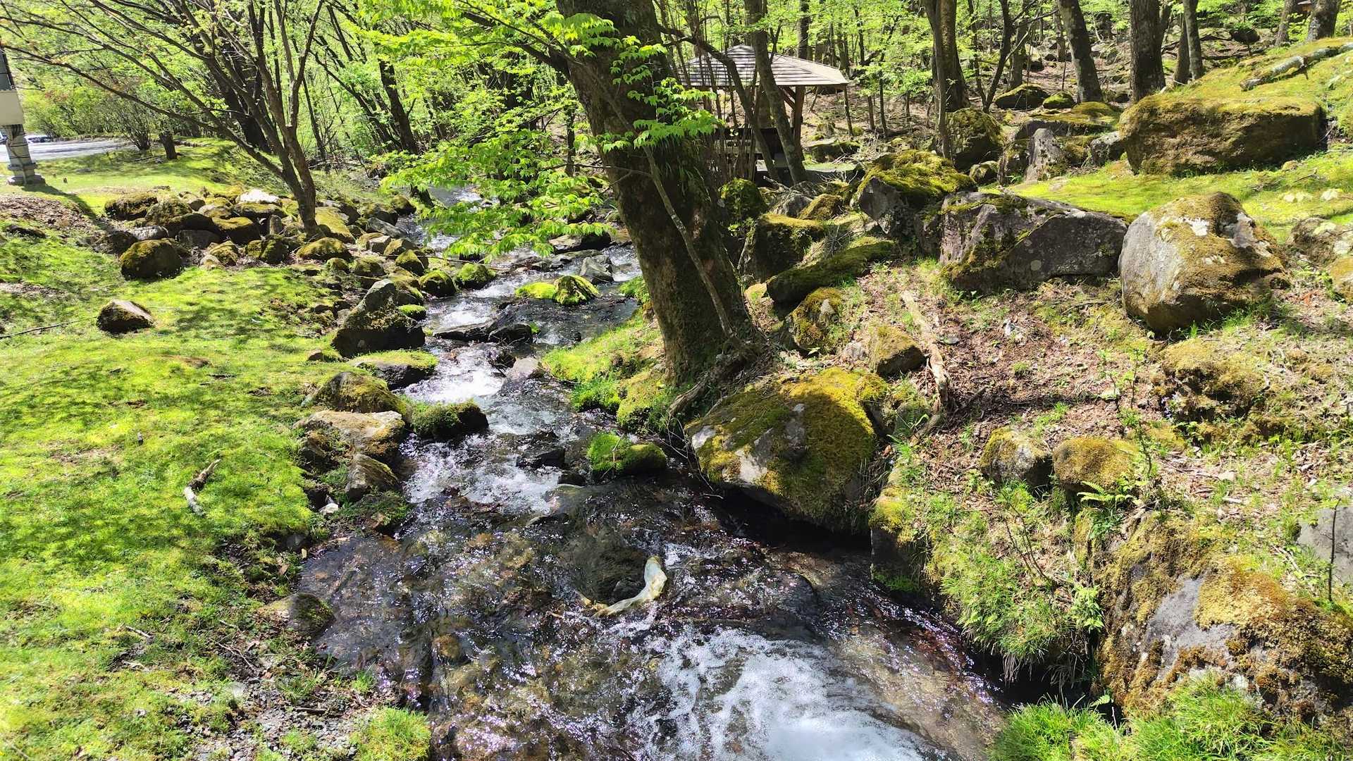 キャンプサイトには清流。
バンガローも沢山あり、先日のTV紹介、コストコ移動式サウナを持参しているファミリー多数。