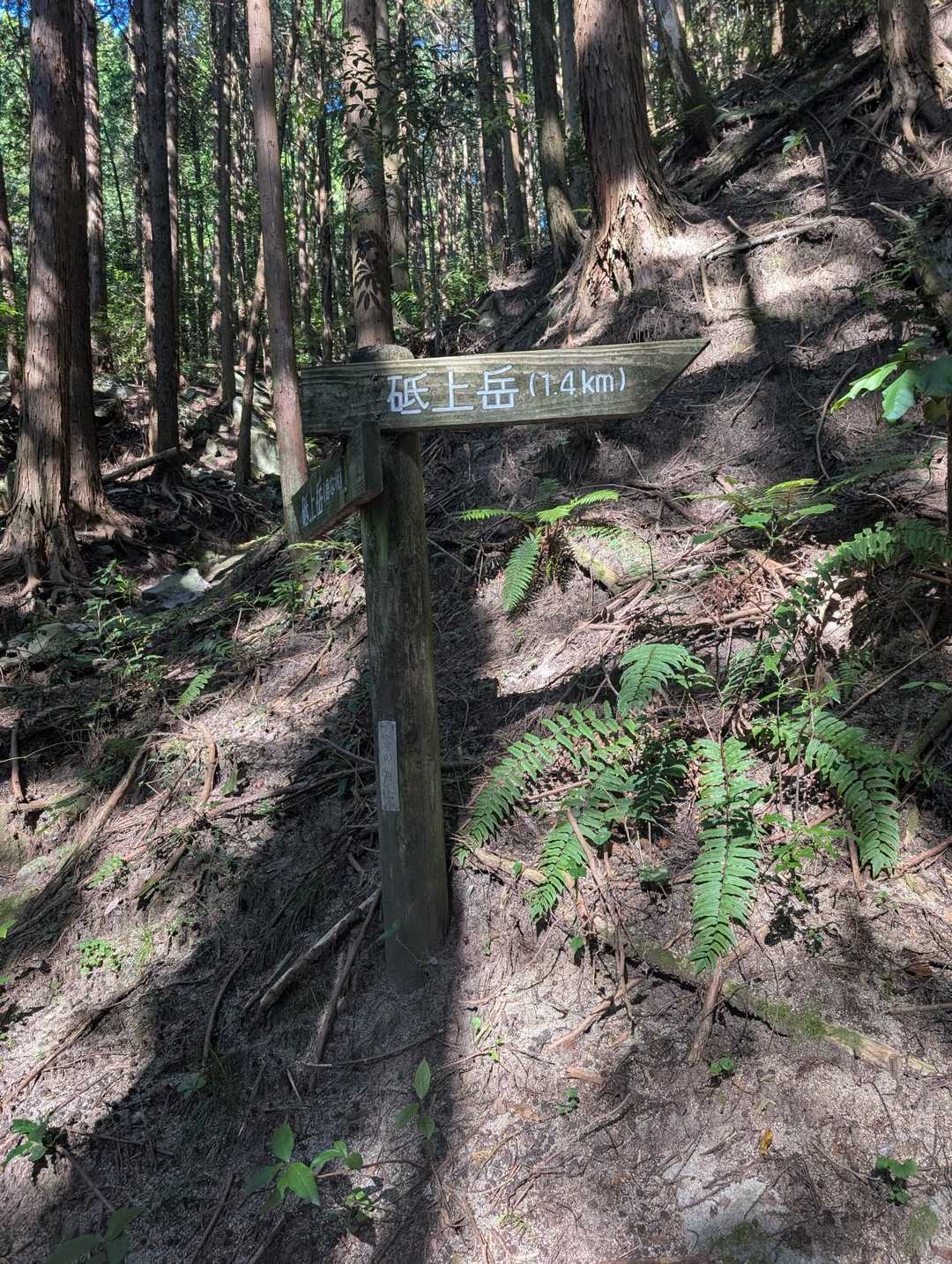 だいぶ傾斜が付いて来ましたよ💦💦それでも後、1.4キロ頑張りますよ💪