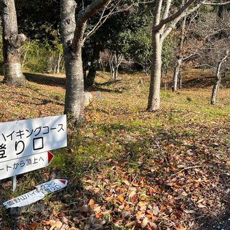 🈁からみたい🤨