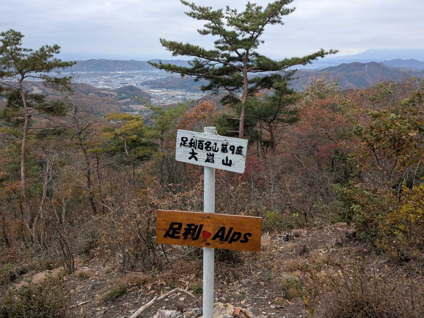 3つ目のピーク。大岩山。
