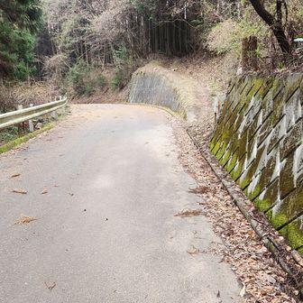舗装林道から登山道に入り、旧定峰峠に向かう。