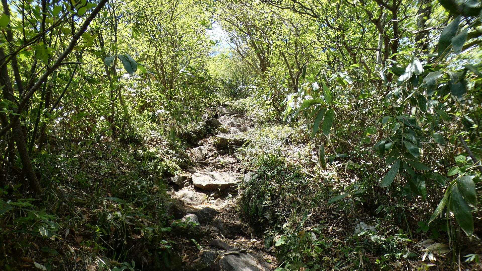 上蒜山への急登が楽しい
