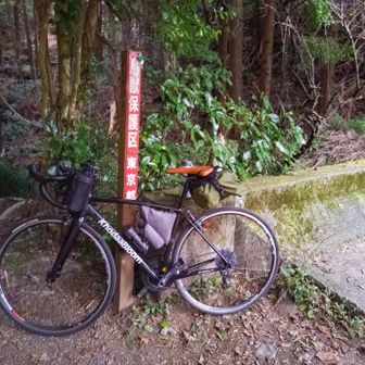 小仏峠入口駐車場到着。
写真よりも薄暗いです。
