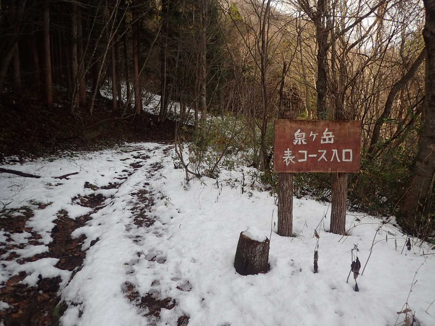 積もってますね。