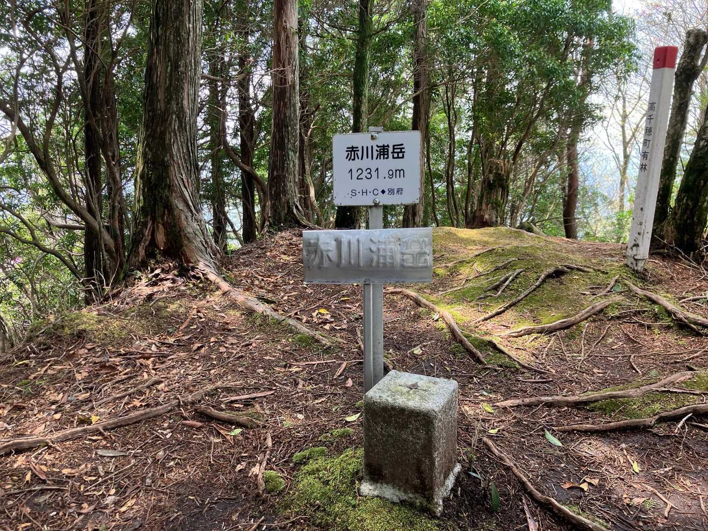 やっと山頂！
眺望は無しです