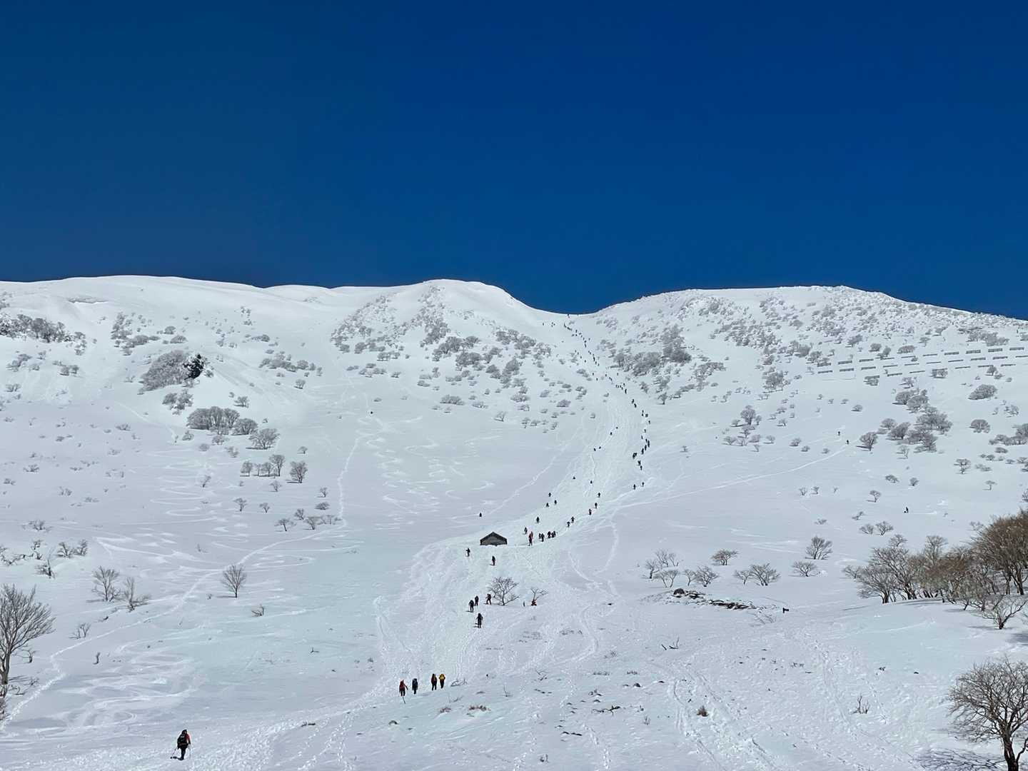 山頂へと続く人の群れ