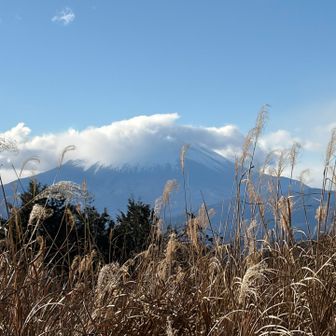 松田山からは綿あめ富士山