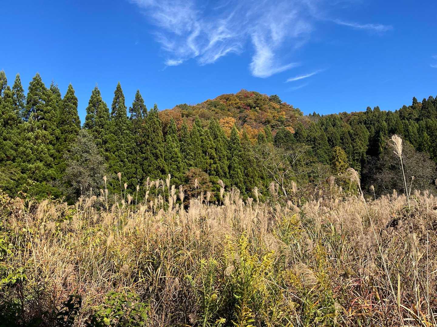 峠山を振り返って