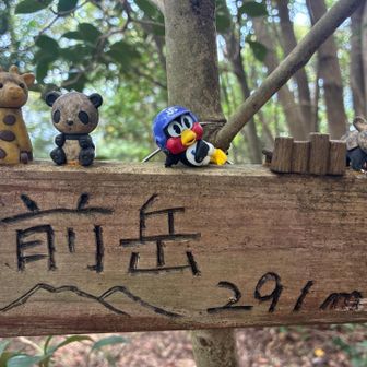 じゃぁ〜ん🤭

間違えた💦

つば九郎持って来ちゃったよ笑笑

まあ二代目つば九郎頑張ってね👍
無理すんなよ🎵

ちゃんと連れて帰りましたからね‼️

本来は🐼置いて感動の再会ってしたかったの💦
