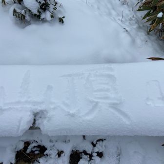 山頂、誰だ、かじったの❓