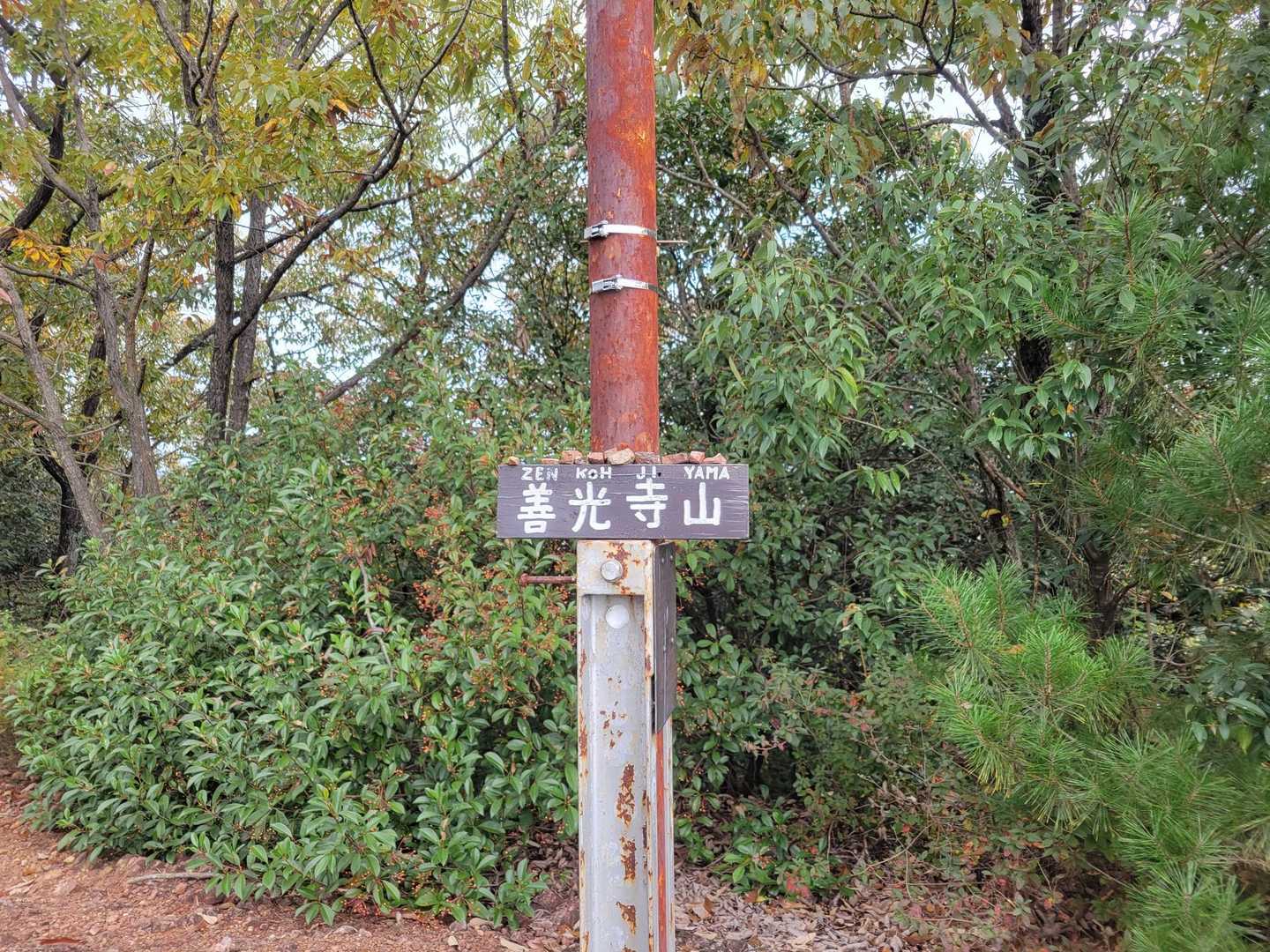 善光寺山
