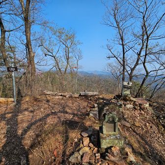 三床山山頂、アカヤシオ🌸
ここで少し休んで栄養補給、折り返します