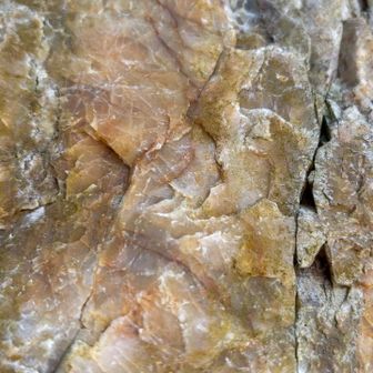 ゆるぎ岩の表面、チャートです。
3億年前の古生代、海底に蓄積した堆積岩であり、とても硬いのが特徴だそう。