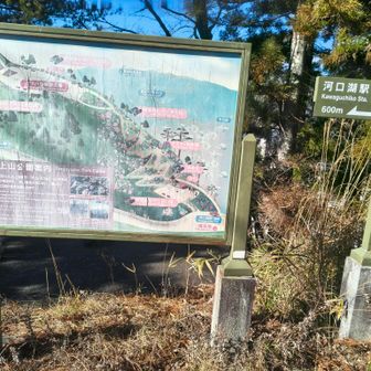 分かりにくいのよ