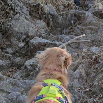 先にクリアしたワンコと妻を待つ🫷