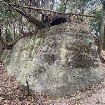 東山砲台跡じゃ🥸