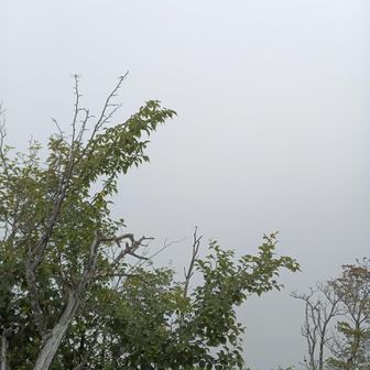 本来ならここに皇海山がデデーンと見えるらしい👁️‍🗨️