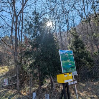 おしゃべりしながら ゆっくり降りて来られました

ここから臨時🅿まで2人だとあっという間でした

ありがとうございましたm(_ _)m



