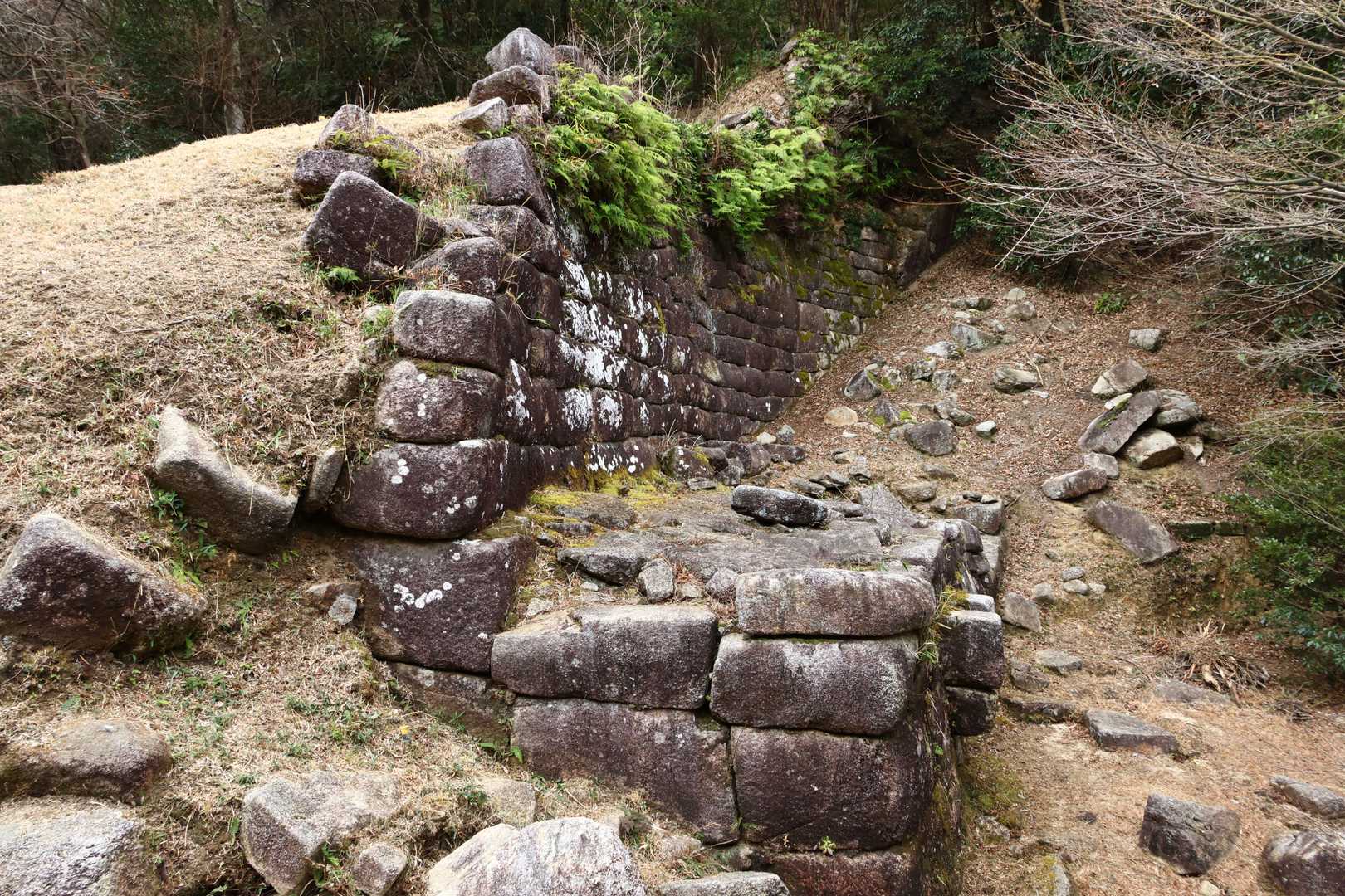 『中門跡』
石の切り方がお城のそれと違う雰囲気だったんで、もっと古い時代の遺跡かと思った！