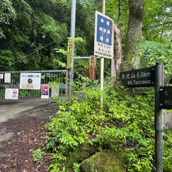 塩水橋の駐車場から道路を上ってきてこのゲートを入リます
出だし少し迷いました(–_–“)