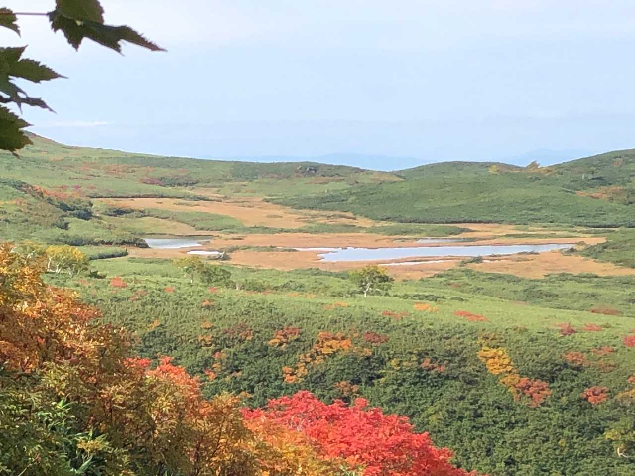 永山岳 往復コースの写真