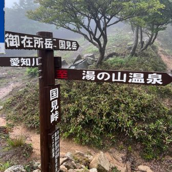 ここまで来たらもう迷わんな