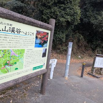 再び嵐山渓谷公園に進入
先ほど谷川橋から見下ろした河原へコチラの右側から降りられるようです
Googleマップ情報によると河原が一枚岩の岩畳で紅葉時には見どころらしいですが事前リサーチ不足で見はぐりました…