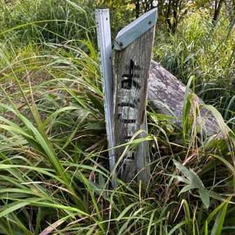 誰もいないと思っていたら、先行者がお二人いらっしゃって、ホッとする。
ビビリだから、ソロはドキドキする😅