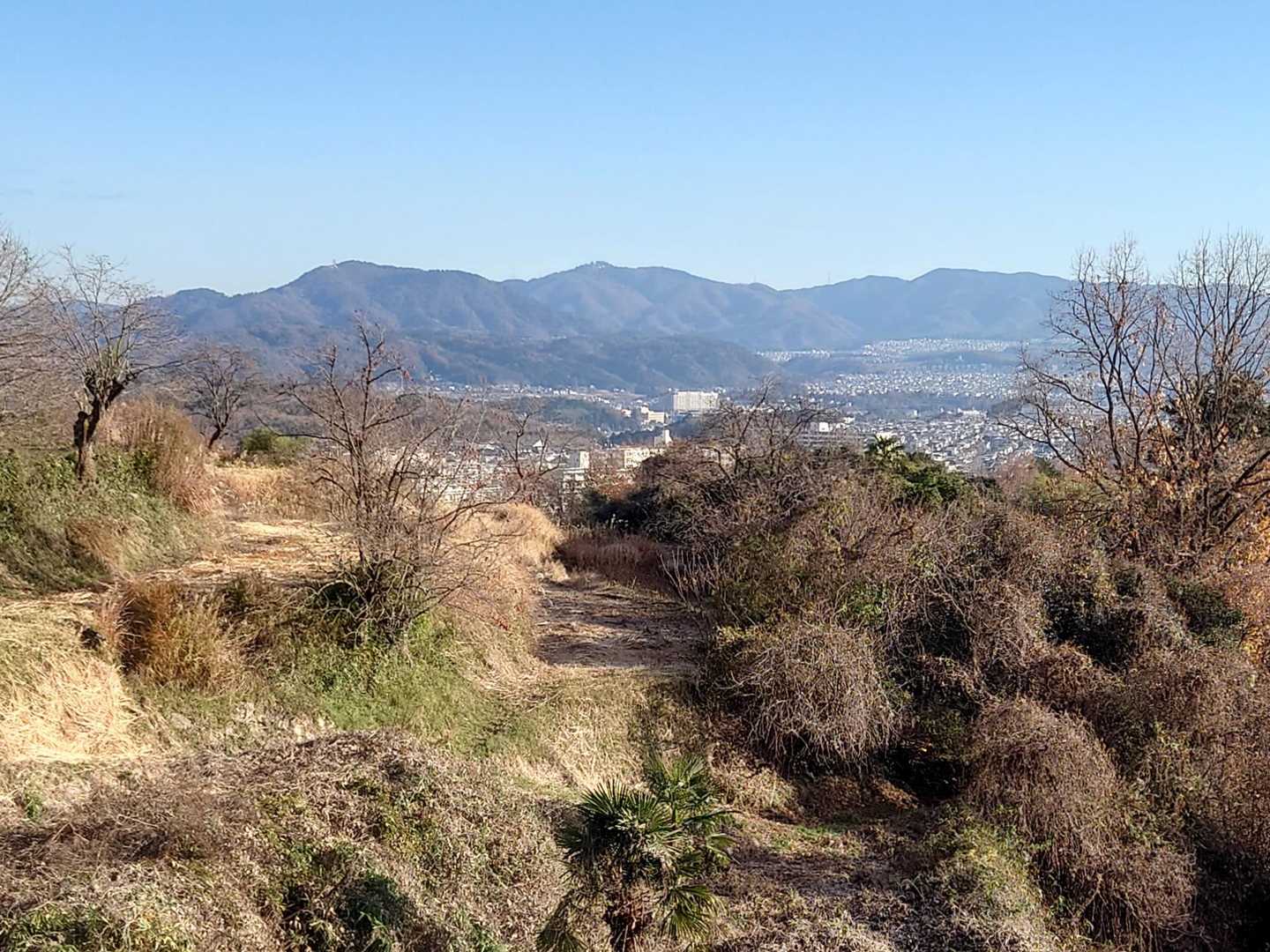 登山口へ向かう途中から📷撮りました🙆
今日唯一の展望写真です｡