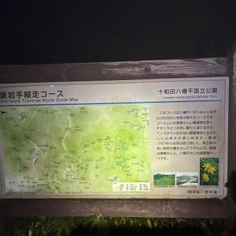 今回のコースです