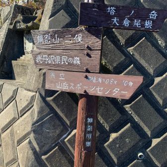 ようやく戻ってきた感じ