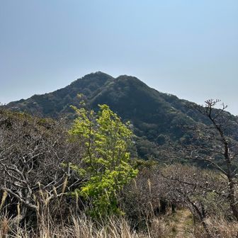 さっきまでいた山ʕ⁎̯͡⁎ʔ༄