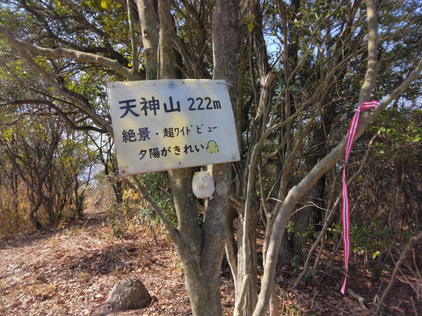 🔺天神山🌅222m
惜しい　明日だったら2月22日だったのに🙀😸😽