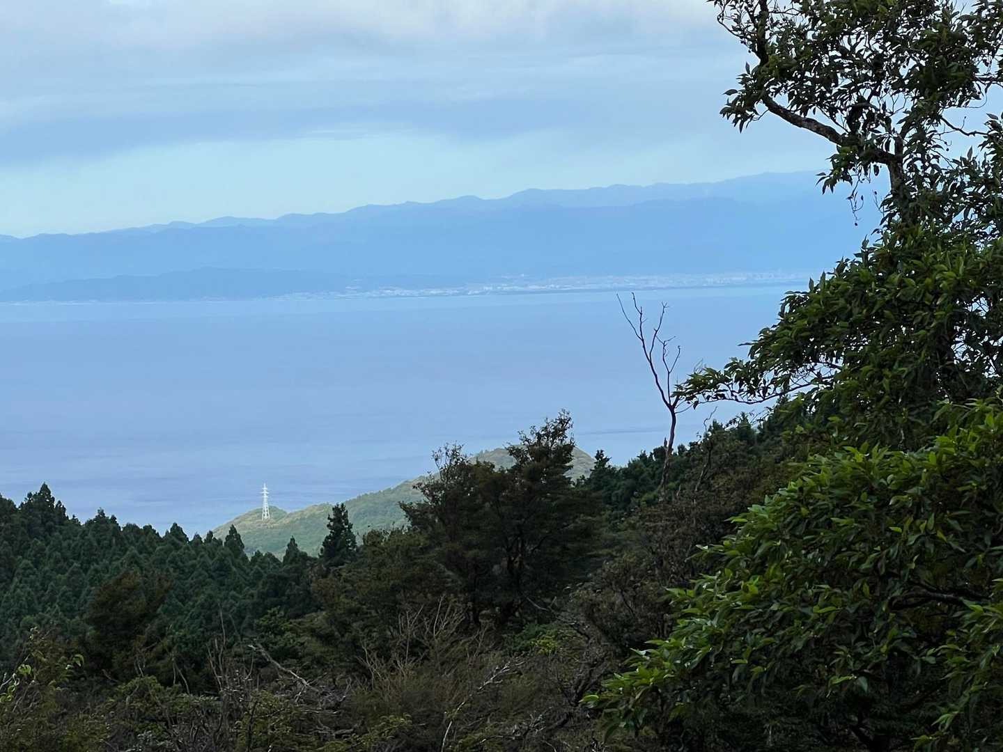こちらは灯台と奥の漁港は戸田漁港かな
