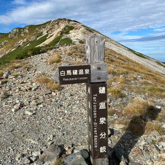 ここら辺一帯から硫黄の香りプンプンする。
鑓温泉入ってみたい♨️