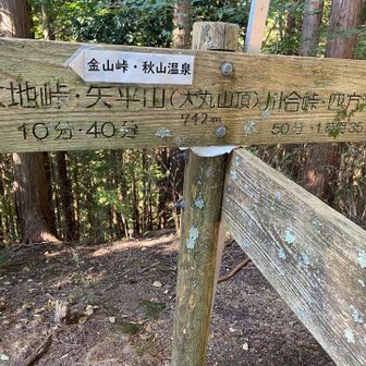 大丸山頂は眺望なし。分岐点です。