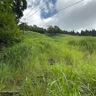 確かに激斜面ではありましたが、丸太階段があったので慎重に下れば大丈夫でした。

私の激斜面は、お尻をつくような斜面なので、まだここは激ではなく急だと思います。
