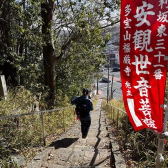 こちらを下りればロード歩いて駐車場まで行くだけ
