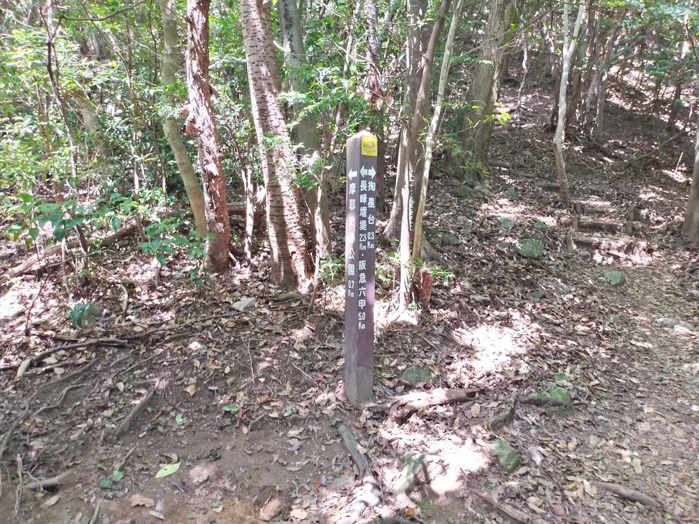 で、ちょうどここに出てくるんですよ〜😆
す、すごい!
（山寺尾根道の掬星台と摩耶史跡公園の分岐地点）

ここ辺りで、第一村人にも会ったんですけど、あまりに変なルートから出てくるから、めっちゃ怪しそうな感じで見られるという。。😅💦
怪しいですが、怪しい者ではありません。。💦