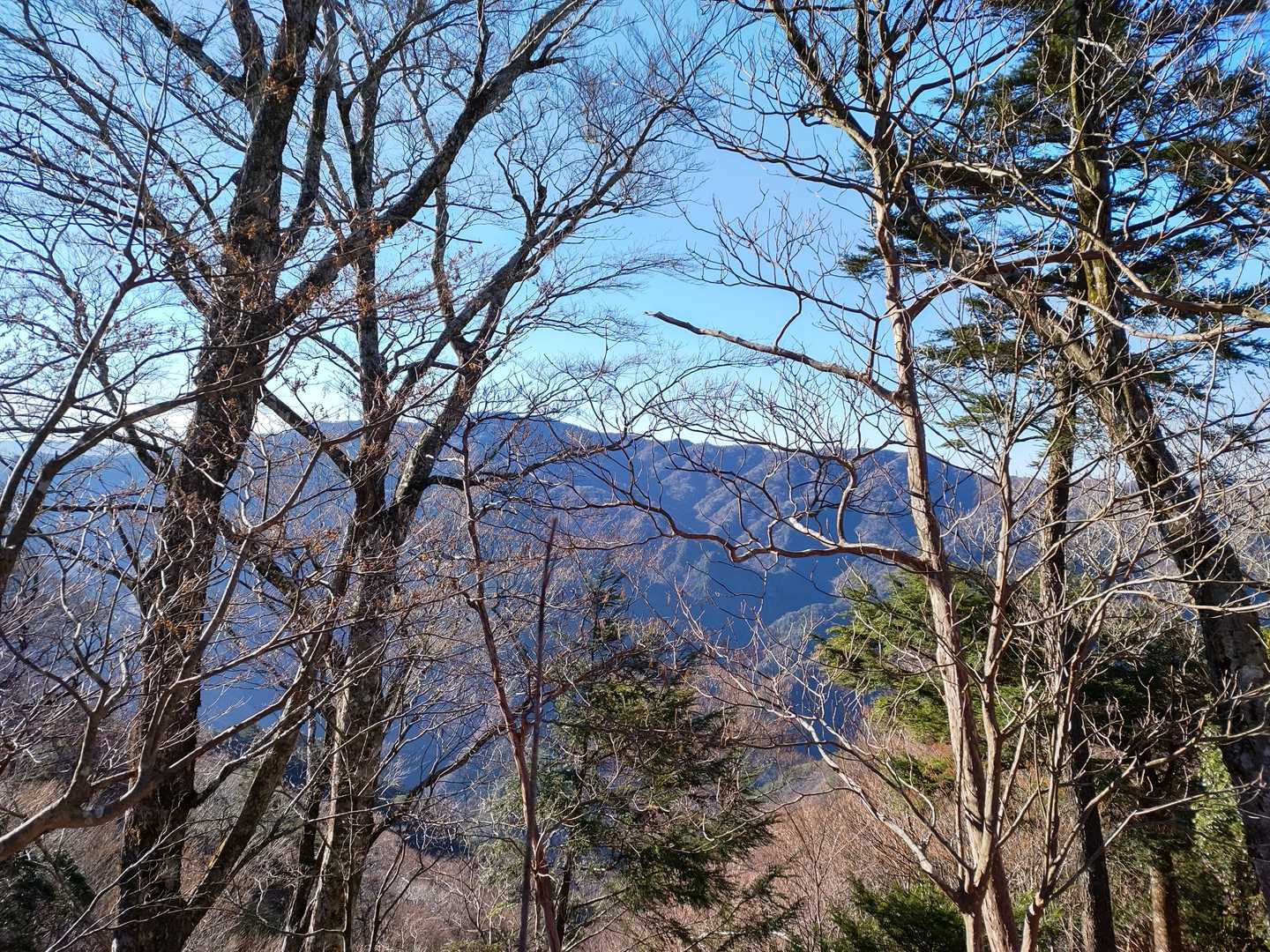本日のゴール【扇山】👍