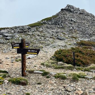 早々に下山します。
明るいうちに下山できるかな