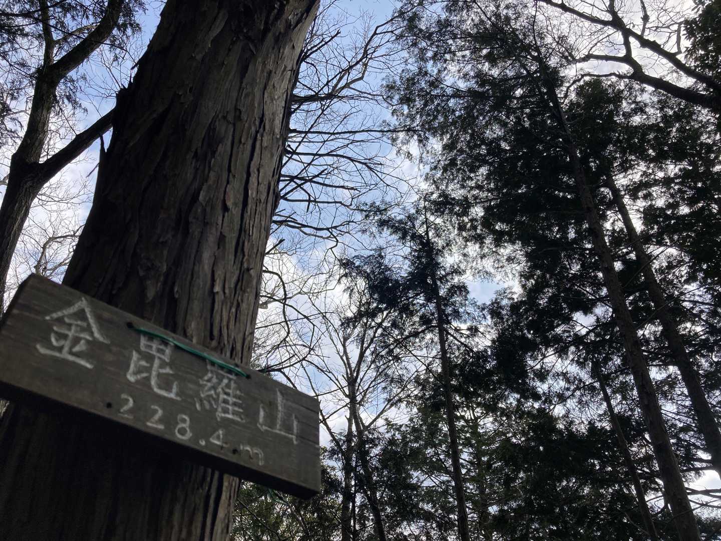 金毘羅山からは