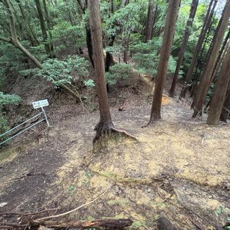 ここまで降り、ここから少し登って北峰