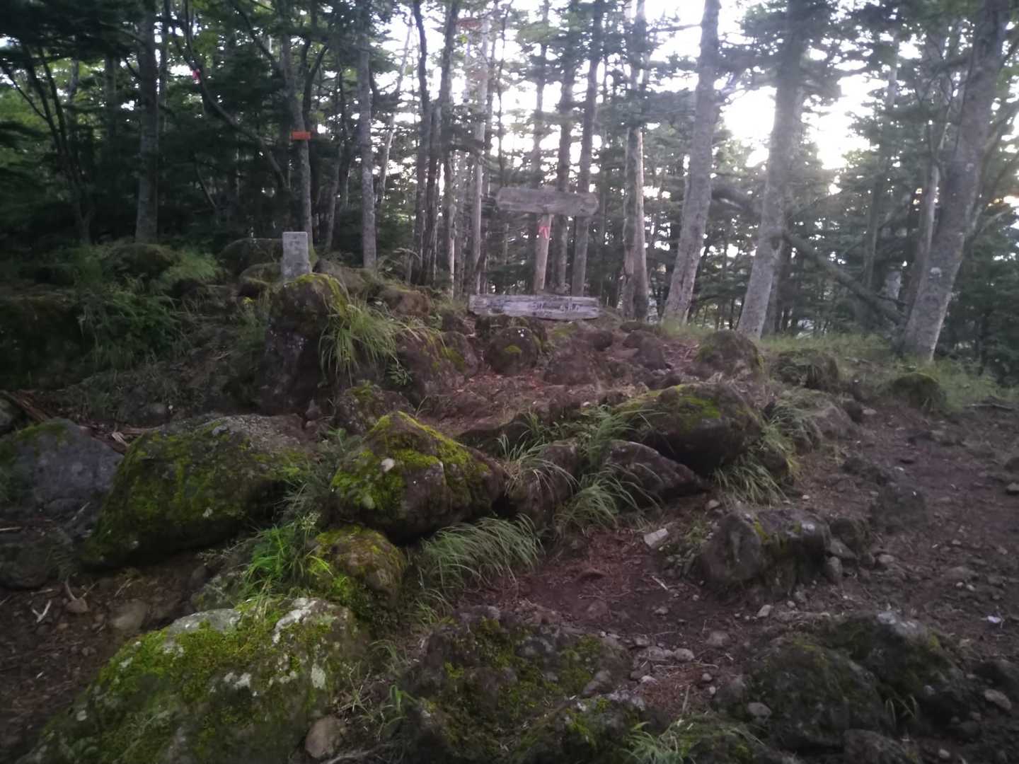結構な急斜面登って牛首山到着♪　朝焼けの空がとても素敵でしたが木々！
