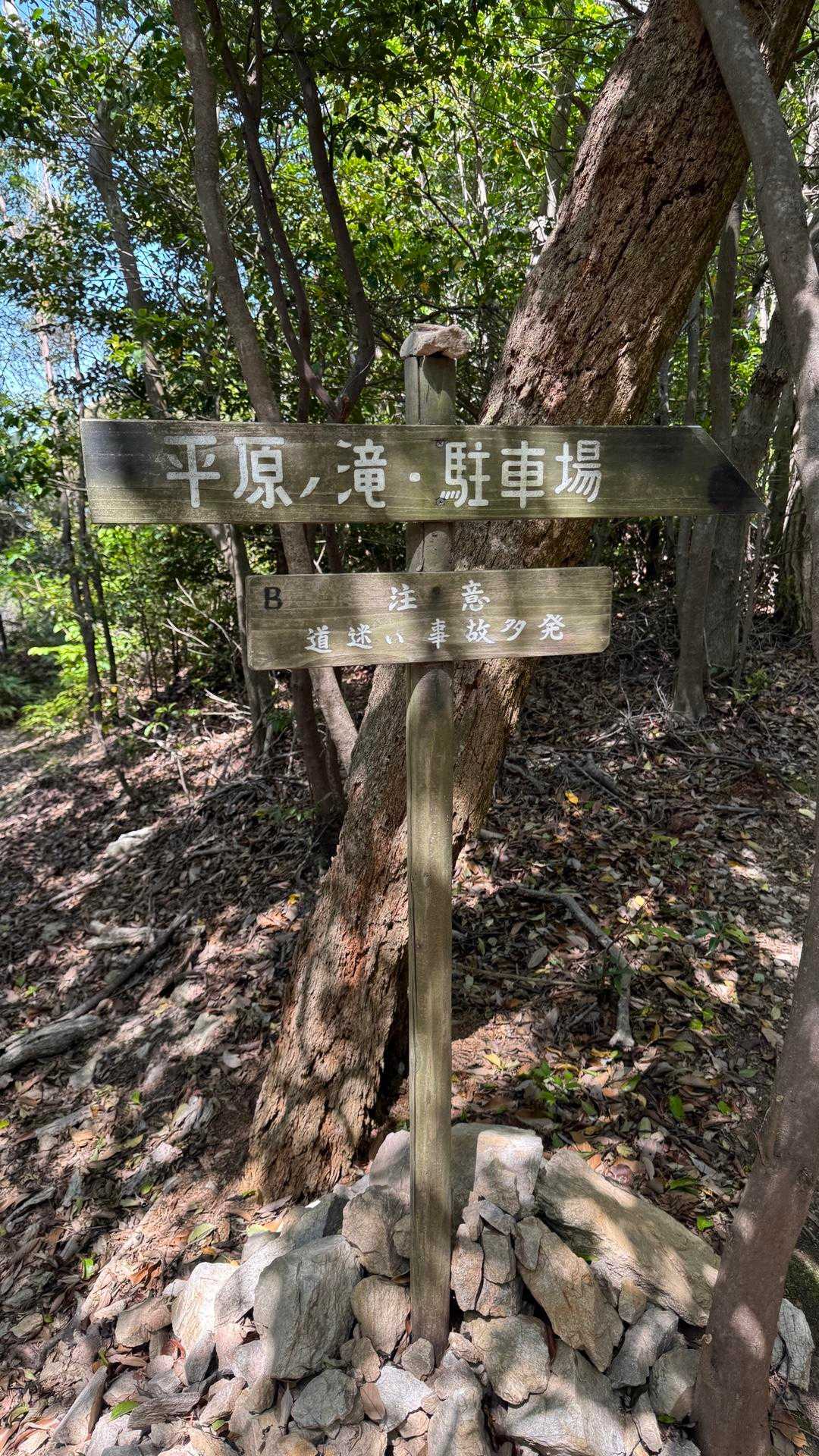 西茶臼山-茶臼山 周回コースの写真
