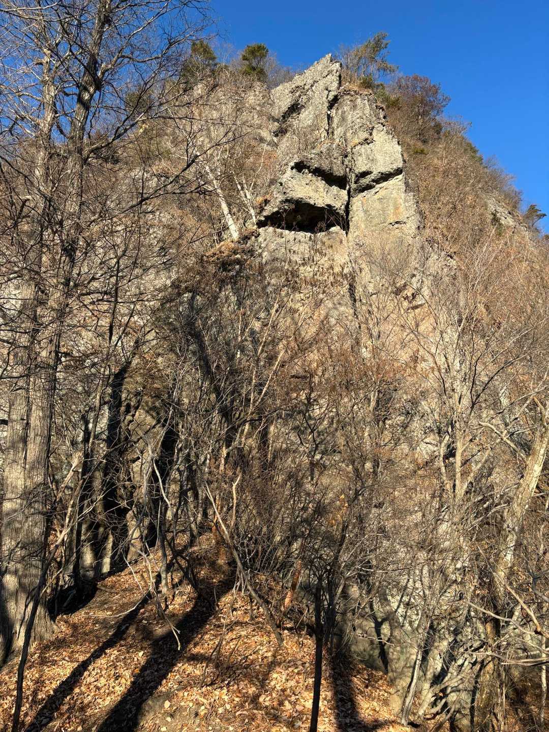 鶴峯山の岩峰につき当たったら右にトラバースしてコルを目指します