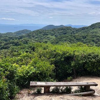 青空と緑の東山　素敵な景色✨
沢山あるベンチ　今日は木陰のベンチで